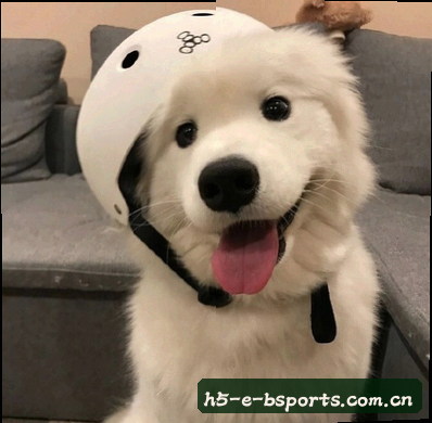 吴凯